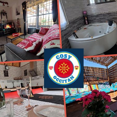 Le Cosy Occitan Villa Chaleureuse Independante Baignoire Terrasse Jardin Carcassonne Luaran gambar